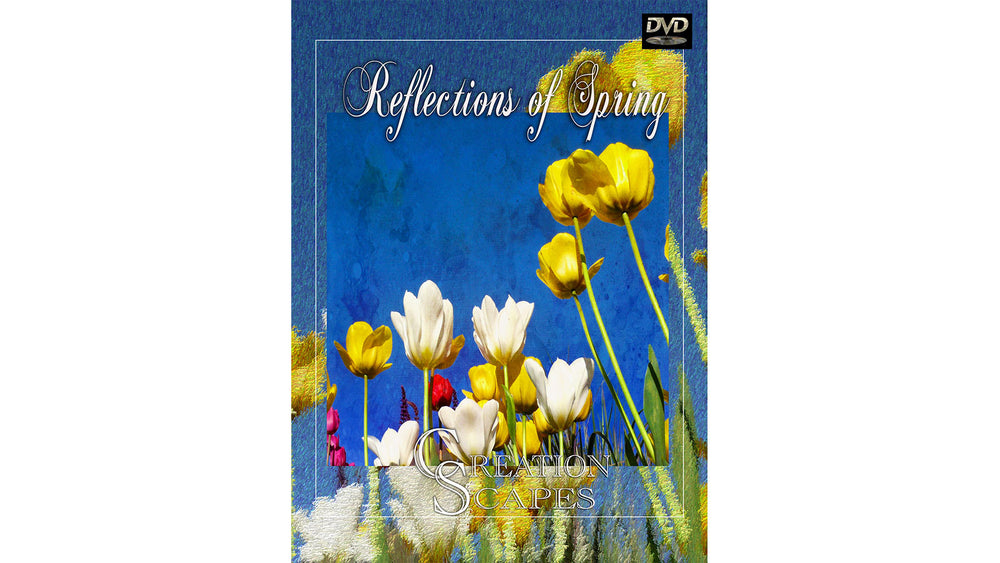 Reflections Of Spring Videos Tagged